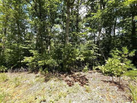 Lot 17 Big Cove Drive, Hiawassee, GA 30546