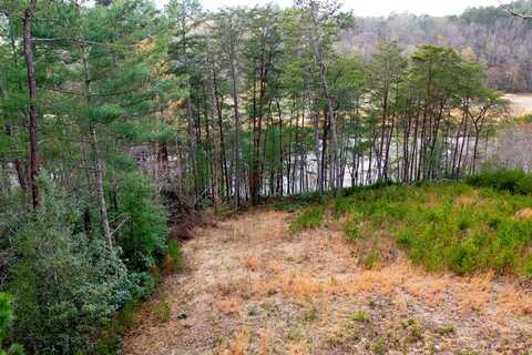 Mountain Watch Lane, Murphy, NC 28906
