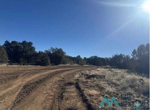 320+/- Acres Apache Mesa Avenue, Los Montoyas, NM 87701