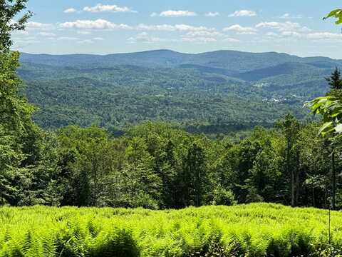 0 Spruce Grove Road, Wilmington, VT 05363