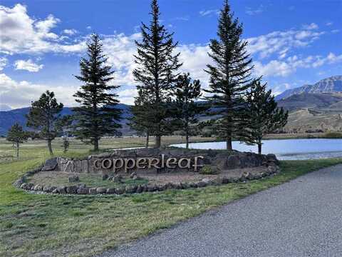 23 Big Creek Dr, Cody, WY 82414