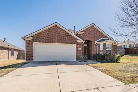 1006 Rosita Street, Arlington, TX 76002