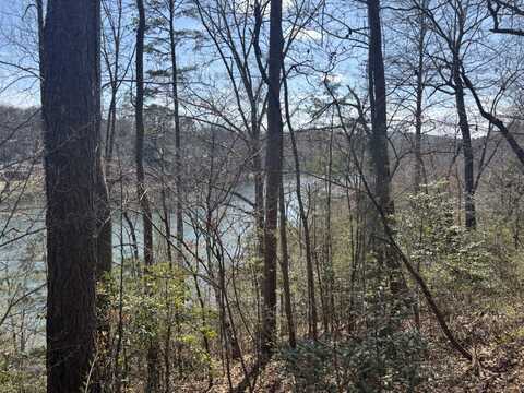 00 Robinhood Lane, Franklin, NC 28734