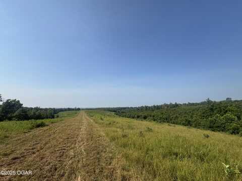 000 Buckeye Lane, Stella, MO 64867