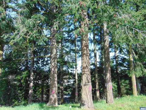 NKA Ridgetop, Sequim, WA 98382
