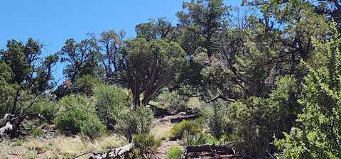 Lot 1 Big View, Ash Fork, AZ 86320