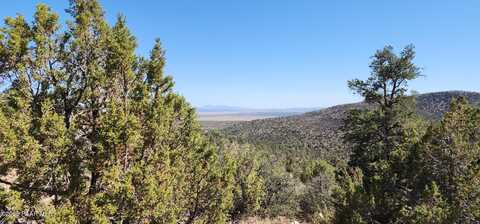Lot 1 Big View, Ash Fork, AZ 86320