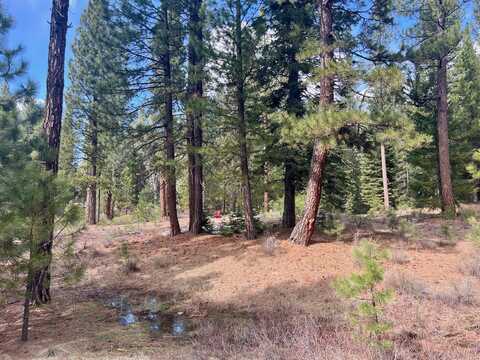 856 Prospector Drive, Clio, CA 96106