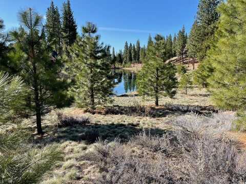 328 Blacktail Ridge, Portola, CA 96122