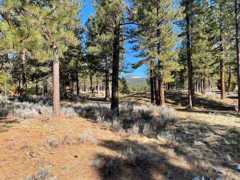 16 Big Grizzly, Portola, CA 96122