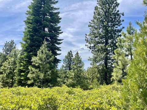196 Dinsmore Drive, Lake Almanor, CA 96137