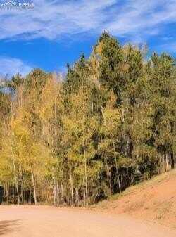 864 Wellington Drive, Cripple Creek, CO 80813