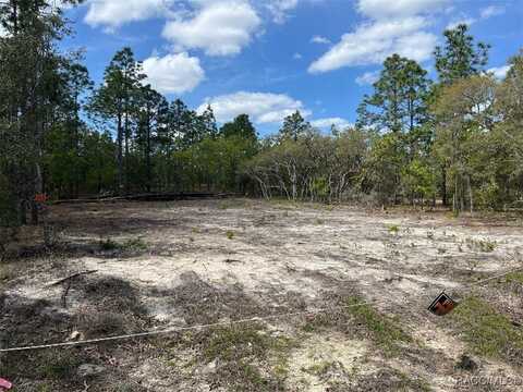 10848 SE 131 Terrace, Dunnellon, FL 34431