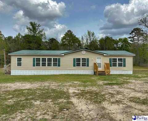 2518 Highway 38 West, Latta, SC 29565