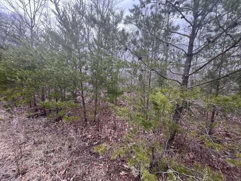 Maple Drive, Pikeville, TN 37367