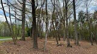 Lot 291 Dormie LN, Penhook, VA 24137