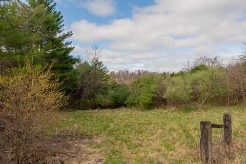 0 Lick Ridge RD NE, Check, VA 24072