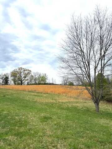 Lot 1 Springhouse LN, Rocky Mount, VA 24151