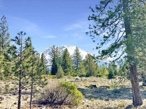 Lot 37 Hidden Meadow Dr, Weed, CA 96094
