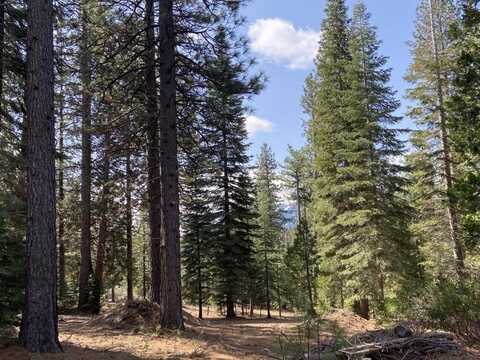 Lot 34 Glenhaven Ct, Weed, CA 96094