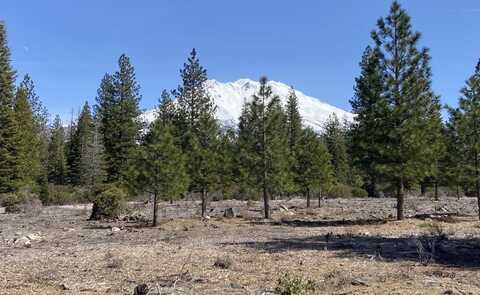 Lot 40 Hidden Meadow Dr, Weed, CA 96094