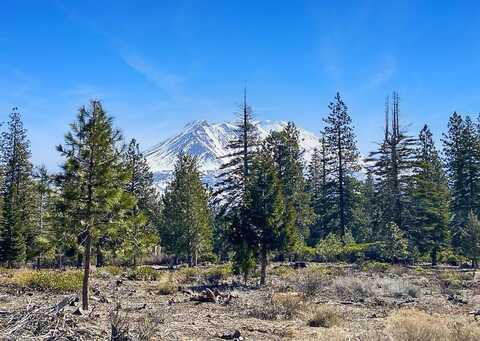 Lot 9 Hidden Meadow Dr, Weed, CA 96094