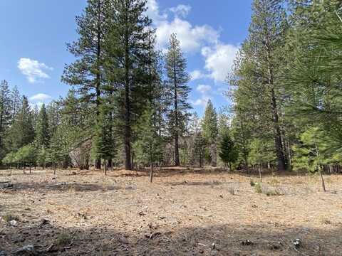 Lot 27 Hidden Meadow Dr, Weed, CA 96094
