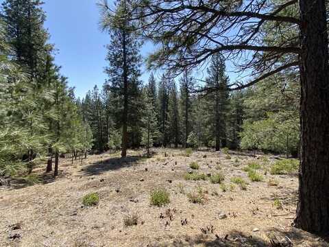 Lot 25 Meadow Ln, Weed, CA 96094