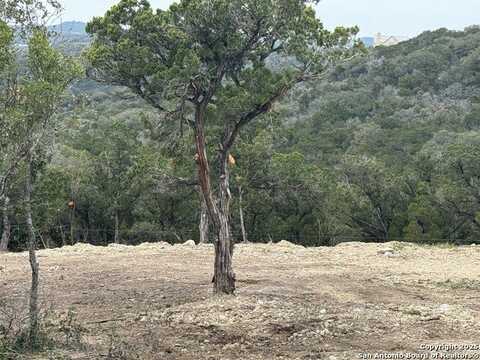 9805 Cash Mountain, Helotes, TX 78023