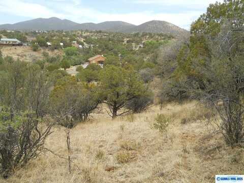 undefined, Silver City, NM 88061