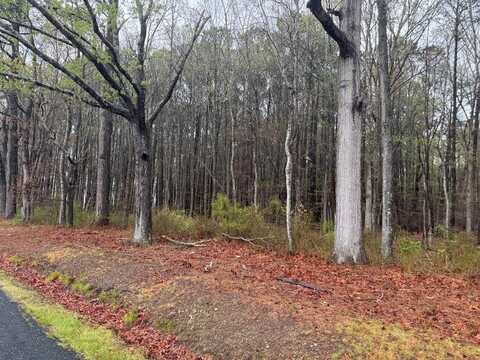 Lot 33 PITTS CREEK RD, NEW CHURCH, VA 23415