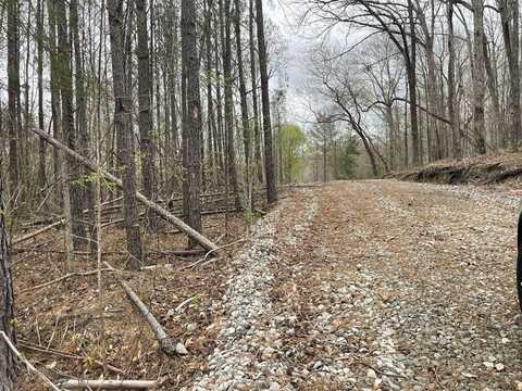 00 E Co Hwy 54, Guin, AL 35563