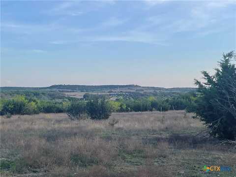 815 County Road 2080, Lometa, TX 76853