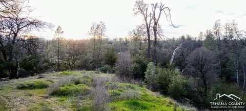 18675 Wilderness Drive, Cottonwood, CA 96022