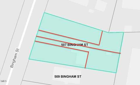 507 Bingham Street, Durham, NC 27703