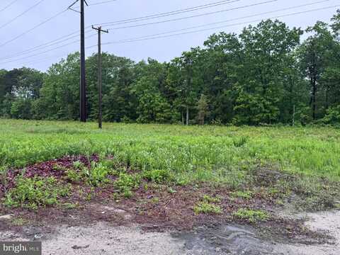 117 BERNARD AVENUE, EGG HARBOR TOWNSHIP, NJ 08234
