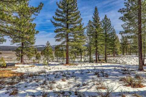 300 Bob Haslem, Truckee, CA 96161