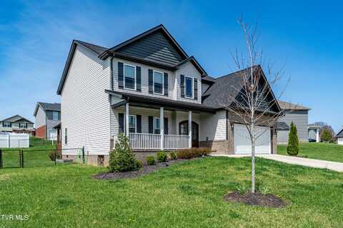1177 Lemongrass Drive, Jonesborough, TN 37659