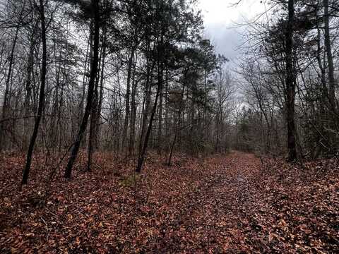 Lot 31 Tiffany Ln, Jamestown, TN 38556