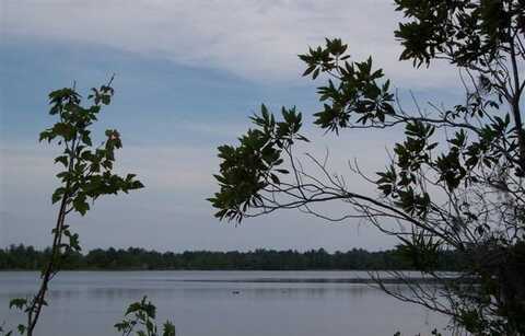 Lot #41 Natures Way, Naylor, GA 31641
