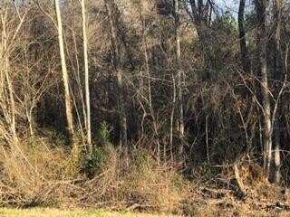 00 Hwy 135, Uvalda, GA 30473