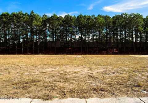 2197 Palm Pointe NE, Leland, NC 28451