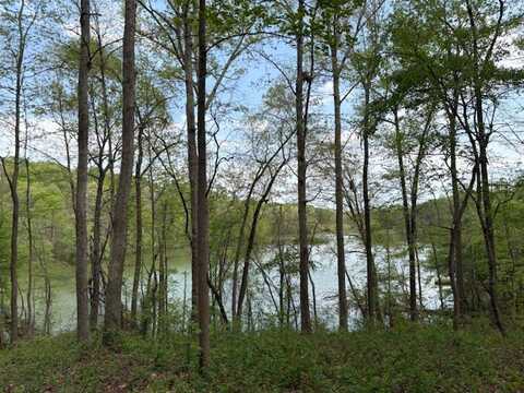 438 Arrowhead Lake Trail, Westminster, SC 29693
