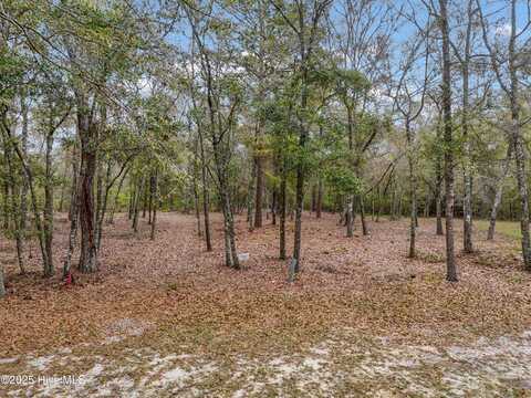 584 Asphodel Dr & Slip 35, Supply, NC 28462
