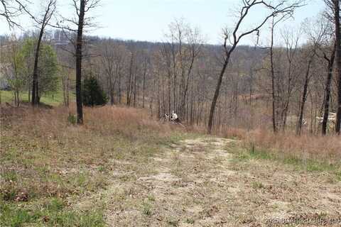 Hawk Lake Drive lot: 1, Sunrise Beach, MO 65079