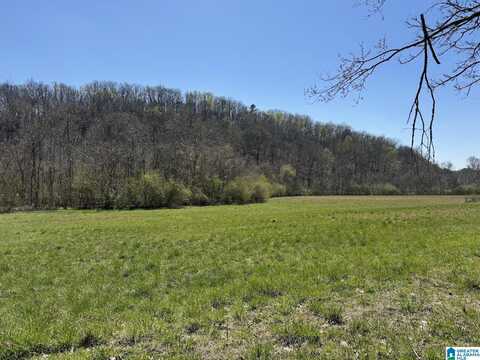 000 BERNEY STATION ROAD, TALLADEGA, AL 35160