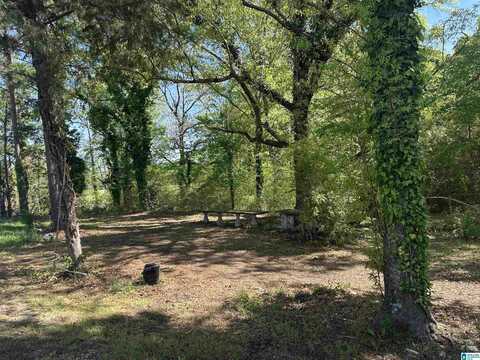 0 HUBBARD ROAD, SYLACAUGA, AL 35150