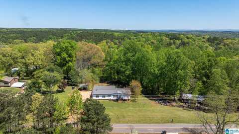 9471 BANKSTON ROAD, DORA, AL 35062