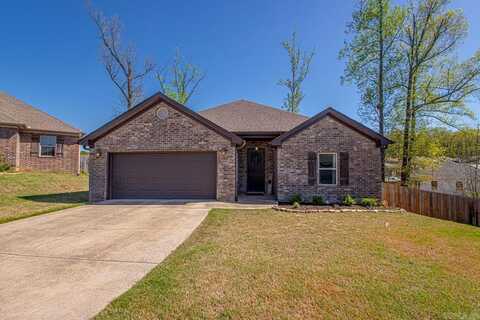 9008 Rolling Hills Drive, Alexander, AR 72002