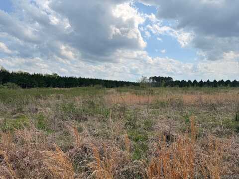 Hwy 172, Monticello, AR 71655